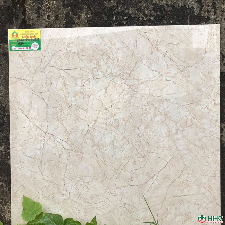 Gạch 60x60 TTC KA17PN66005